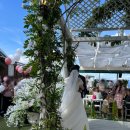 소문난명가찜닭 이미지