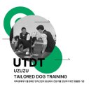 독트레이닝온 | 반려견 운동, 독피트니스 핸들러 자격증 수업 UTDT AKC FIT DOG Lv.1-2 과정 3회차