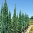 다경농장 이미지