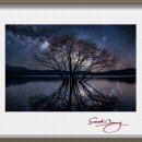 별이빛나는밤에 - 계양구 도두리로 10 | 별이빛나는밤에