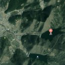 이루는약국 | 요즘 핫플이라는 '살리단길'? 밤마다 불야성 이루는 공포의 살목지