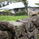 신풍리-2 이미지