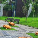 초막골생태공원 이미지