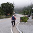 느릅나무민박 이미지