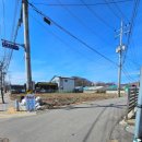 벌마들로 이미지