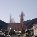 미국마을 이미지