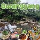 (합)하나로택시 | 전남 광양 1박2일 여행 | 친구들과 떠난 여름휴가, 계곡부터 현지인 맛집·대형카페까지