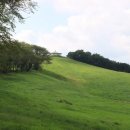 대연목장 이미지