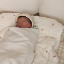 엠제이조산원 이미지