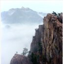 설악산 케이블카- 남이섬- 화천산소길 가을여행 동참(일정수정) 이미지