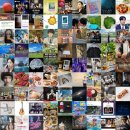 지니크 인 | 블로그 인기 포스팅만 모아: 매일 최신의 인기 블로그 포스팅을 한곳에서!! (2025.07.27 17:16)