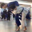 마이티 유도 체육관 대야점 이미지