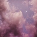 달이 떴다고 전화를 주시다니요 이미지