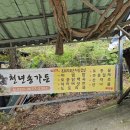 와운가든 이미지