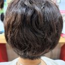 춘희수선 네이버블로그