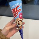 월드콘 저당 바닐라 아이스크림 내돈내산 후기 (오리지널 칼로리 비교)