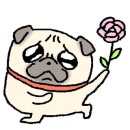 에너자이저 복싱 이미지