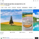 비에이(B/A) | 오타루 vs 비에이, 삿포로 근교여행 뭐가 다를까? 완벽 비교 가이드