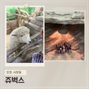 서창남순환로216번길1R | [쥬벅스] 인천 실내 아이와 함께 가볼만한 곳 | 실내 동물원 | 인천 데이트