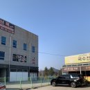 (창원/감계/북면)국수 전문점 밀밭 잔치국수 후기