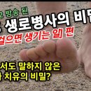 [맨발걷기30] KBS 생로병사의 비밀 '맨발로 걸으면 생기는 일' 편에서 언급되지 않은 진짜 치유의 비밀을 말하다 이미지