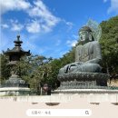 신흥사대웅전 | [국내 여행일기] 신흥사 - 속초 (+ 양양 가볼 만한 곳)