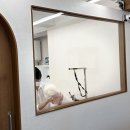 숲멍 | [서울 강동구 둔촌동 애견미용실 추천] 멍숲 위생미용 후기!!