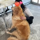 단월620 이미지