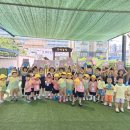 국공립호암힐스어린이집 Daum카페