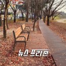 팔거천동로 이미지