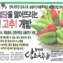 농부의꿈영농조합법인 이미지