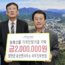 묘산면사무소 이미지