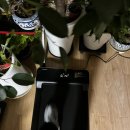 몸짱헬스클럽 | 킹스미스 사용후기 러닝패드로 즐기는 밤운동, 홈트가 겨울에는 대세!