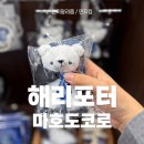 국내 최초! 해리포터 마호도코로 팝업스토어 방문후기