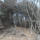 파주6리 경로당 네이버블로그