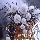고요한밤