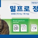 김해정약국 네이버블로그