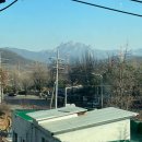 더퍼스트프라임(57513) 이미지