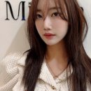 헤어브릭 이미지