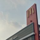 충의로 | 서산 맥도날드 : 크리스마스 트러플 치즈버거 신메뉴 맛 칼로리 후기