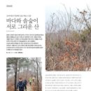 솔숲미디어 이미지