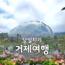 칠거제 | 거제 가볼만한곳 데이트 당일치기 거제여행코스 추천 후기(매미성, 배말칼국수, 거제식물원, 젬스톤)