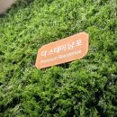 더스테이 남포 이미지