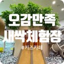 혁신합기도키즈짐 | 충북 음성 실내 놀이터 키즈카페 오감만족 새싹 체험장 예약 이용 후기