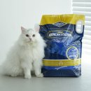 원큐솔루션 | 아메리칸솔루션 그랜드마스터 프리미엄 대용량 12.6kg 벤토나이트 고양이모래