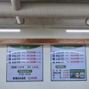 황금오리 이미지