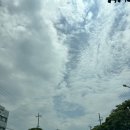 오토하우스 | 제주도 렌터카 업체 추천 롯데렌터카 제주오토하우스 아반떼 하이브리드 렌트후기