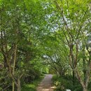 연기면_원수산MTB공원 | 세종시 원수산 등산 코스 후기 세종 힐링산