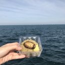 만복김밥 이미지