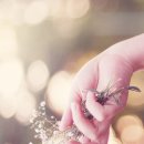 부산광역시립 시민도서관 이미지